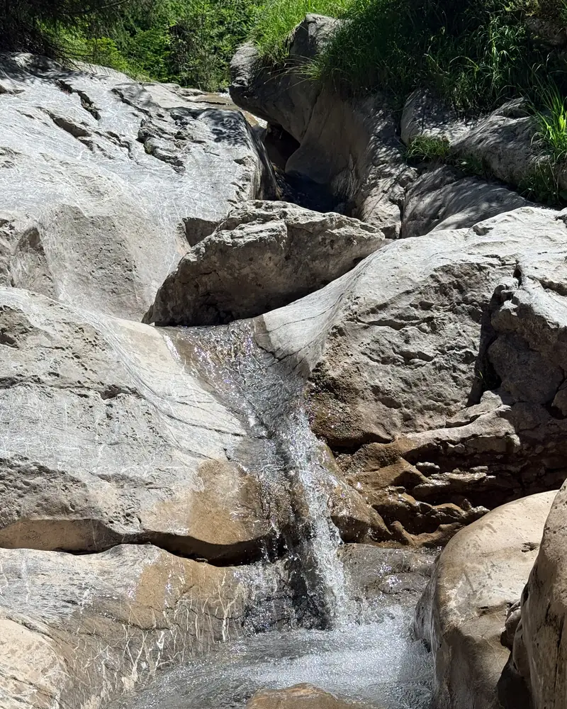 Bergbach über Felsen im Wald im Berner Oberland